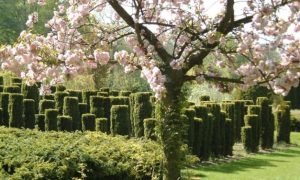 Les Jardins de Sericourt